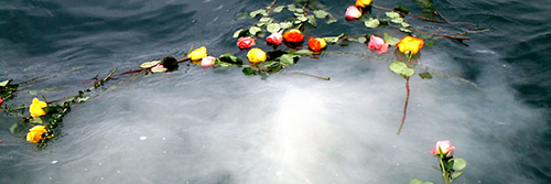 Cremation Scattering of Ashes at Sea cremation plans